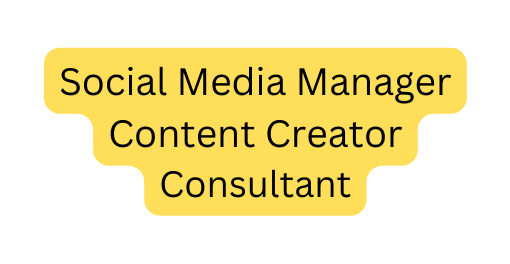 Social Media Manager Content Creator Consultant